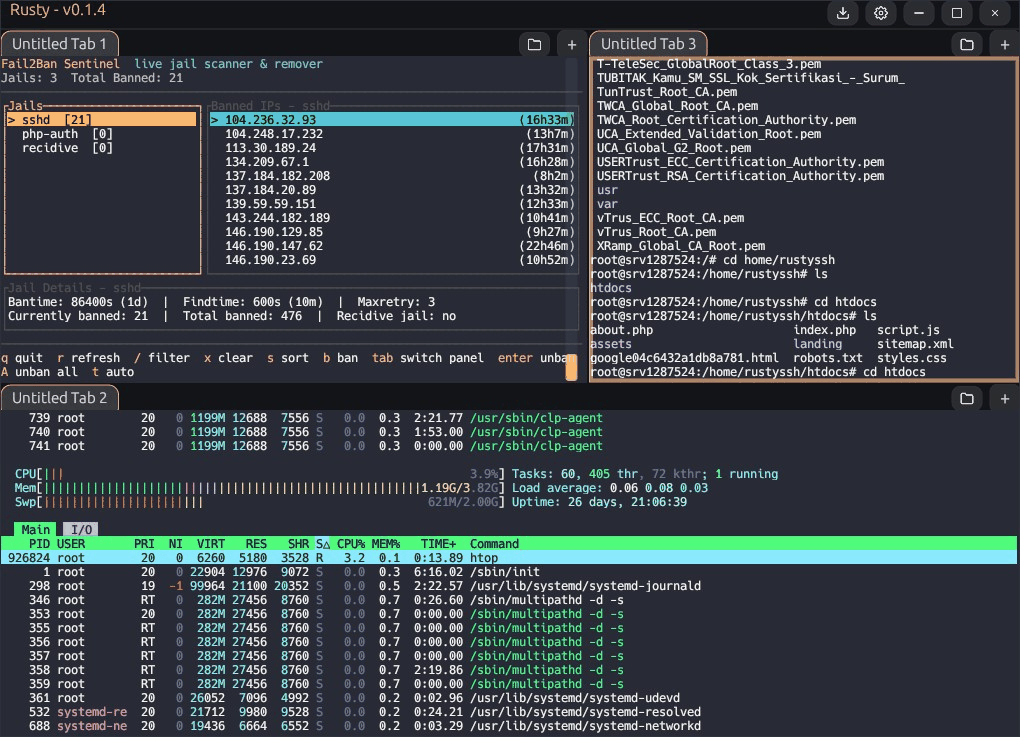 Rusty usage walkthrough animation